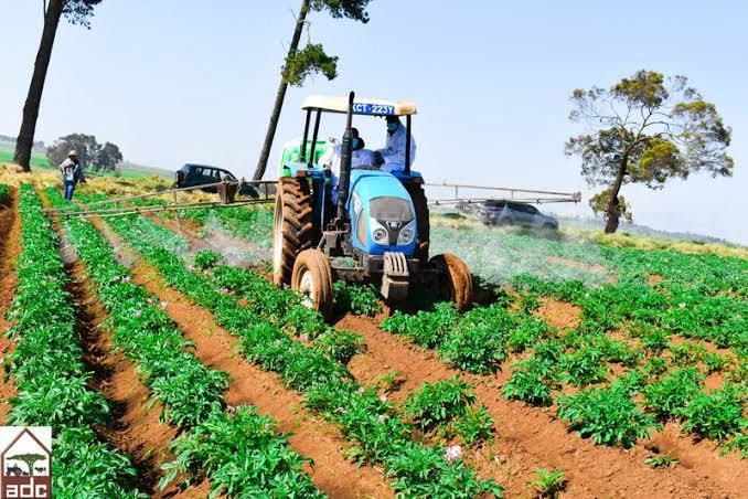 Agribusiness Leadership & Mentorship