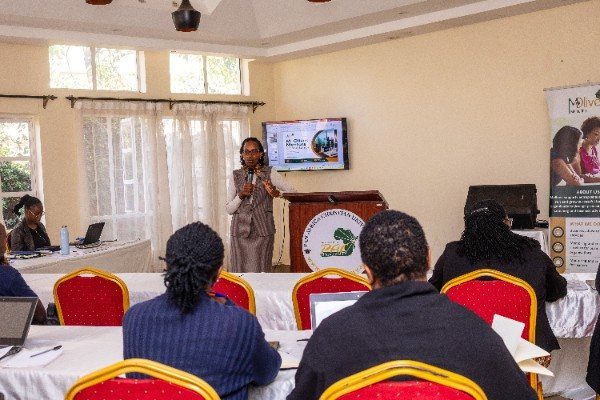 Training & Capacity Building