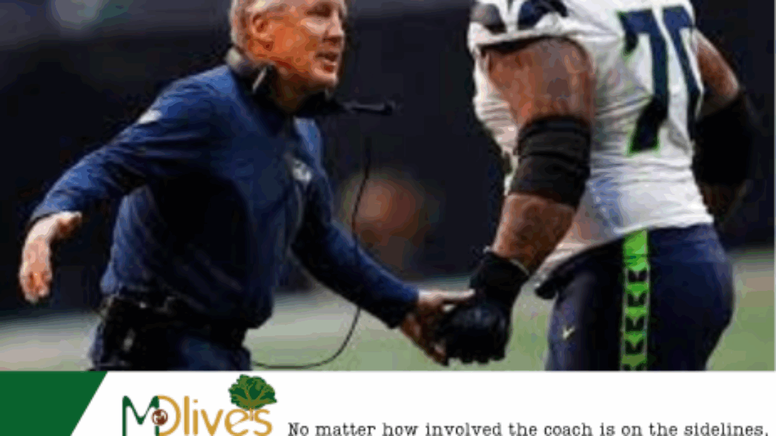 THE BOARD AND THE CEO